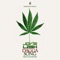 Dagga Song - Jovislash lyrics
