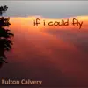 If I Could Fly (feat. Terry Wright) - Single album lyrics, reviews, download