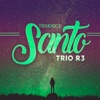 Tremendo E Santo - Single