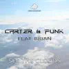 See the Clouds (feat. Brian) [Remixes] album lyrics, reviews, download