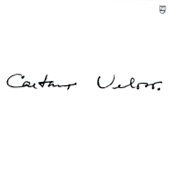 Caetano Veloso - Carolina