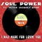 Shake Your Body (Down To the Ground) (Soul Power vs. Peter Jacques Band) [The Colombo's Touch Mix] artwork