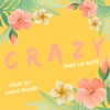 Crazy - Single, 2017
