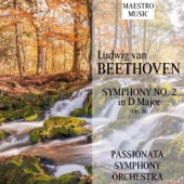 Symphony No. 2 in D Major, Op. 36: IV. Allegro molto artwork