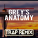 Grey's Anatomy (Trap Remix) - Trap Remix Guys