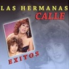 Éxitos las Hermanas Calle