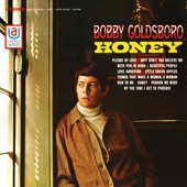 Bobby Goldsboro - Love Arrestor