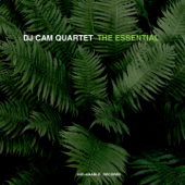 The Essential - DJ Cam Quartet