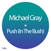 Push (In the Bush) - Single