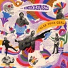 The Decemberists - I'll Be Your Girl
