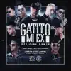 Stream & download El Gatito de Mi Ex (feat. Gigolo & La Exce, Darkiel, Pusho, Juhn & Pacho) [Remix]