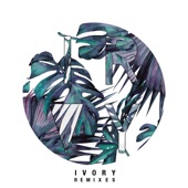 Ivory (Blowsom Remix) artwork
