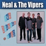 Neal & The Vipers - One Chance with You