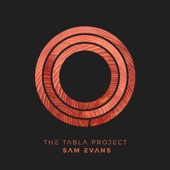 Sam Evans - Five Trains (feat. Stephen Magnusson & Reza Kashi)