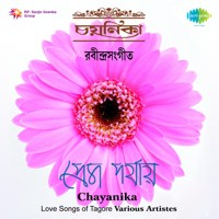 Various Artists - Chayanika artwork