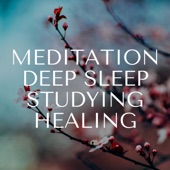 Meditation, Deep Sleep, Studying, Healing: Best Soothing Music Ever artwork