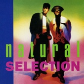 Natural Selection artwork