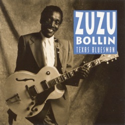 Zuzu Bollin - Blues in the Dark