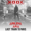 Last Train to Paris (Radio Edit) [feat. Arilena Ara] - Single