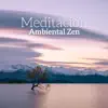 Meditación Ambiental Zen - Yoga Curativo, El Alivio del Estrés & Terapia de Masajes, Buena energía album lyrics, reviews, download