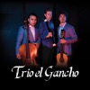 Trio el Gancho, 2017