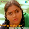 Ilaiyaraaja - Veettukku Oru Magane