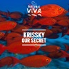 Our Secret - Single