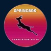 Springbok Compilation, Vol. 10