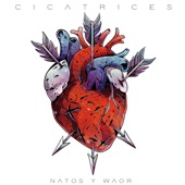 Cicatrices artwork