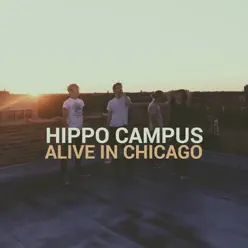 Alive in Chicago - Single - Hippo Campus