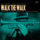 Walk the Walk (feat. Jonathan Kreisberg) artwork