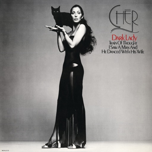 Art for Dark Lady by Cher