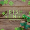 Irish Music Duet - The Cliffs of Doneen