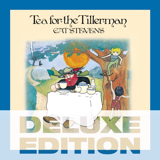 Cover artwork for Tea for the Tillerman (Live at the BBC)