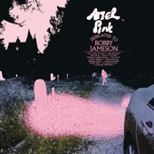 Ariel Pink - Time to Meet Your God