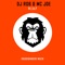 H.I.A.F. - DJ Rob & MC Joe lyrics