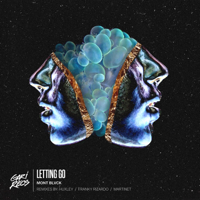 Mont Blvck - Letting Go (Franky Rizardo Remix) artwork