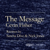 The Message (The Nick Jones Experience Mix 2) artwork