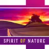 Stream & download Spirit of Nature: Sounds for Tired Senses, Return to Harmony, Smart Relax, Earth Soul, Healing Music, Peaceful Oasis