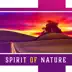 Spirit of Nature: Sounds for Tired Senses, Return to Harmony, Smart Relax, Earth Soul, Healing Music, Peaceful Oasis album cover