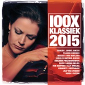 100X Klassiek 2015 artwork