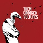 Them Crooked Vultures - Scumbag Blues