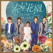 The Love You Want (Night Version) [From "Meteor Garden" Original Soundtrack] artwork