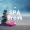 Calm Nerves - Serenity Spa Music Relaxation lyrics