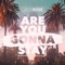 Are You Gonna Stay (Jochen Simms Underground Mix) - Jack Rose lyrics