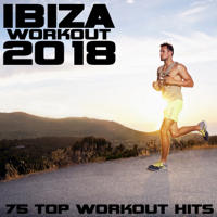 Various Artists - Ibiza Workout 2018 artwork