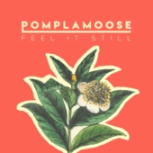 Pomplamoose - Feel It Still