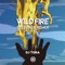 Wildfire (Steerner Remix) - DJ Tora & Steerner lyrics