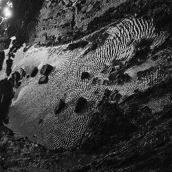 Four Tet - Scientists