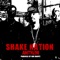 Shake Nation Anthem - Ron Browz lyrics